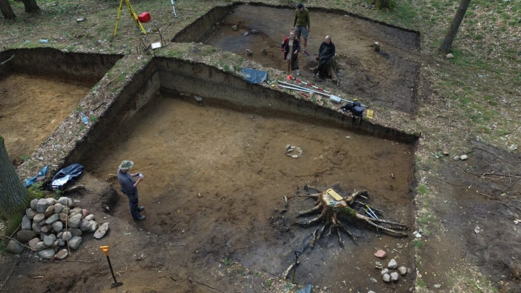 Duży wykop archeologiczny w lesie z widocznymi zarysami obiektów i pracującymi osobami (kliknięcie powiększy zdjęcie).