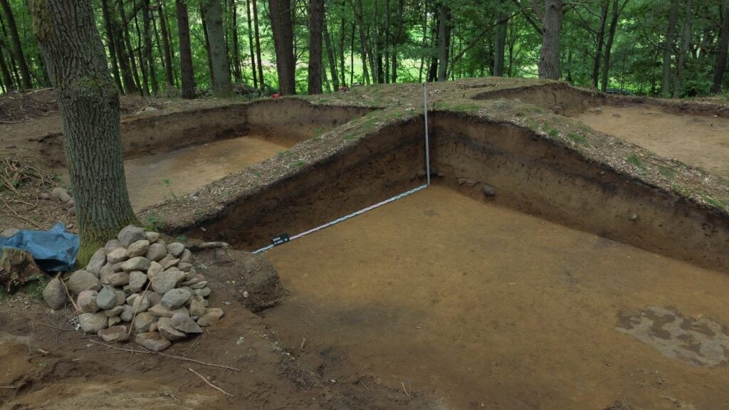 Pusty wykop archeologiczny o wyraźnie wyznaczonych krawędziach i poziomach eksploracji (kliknięcie powiększy zdjęcie).