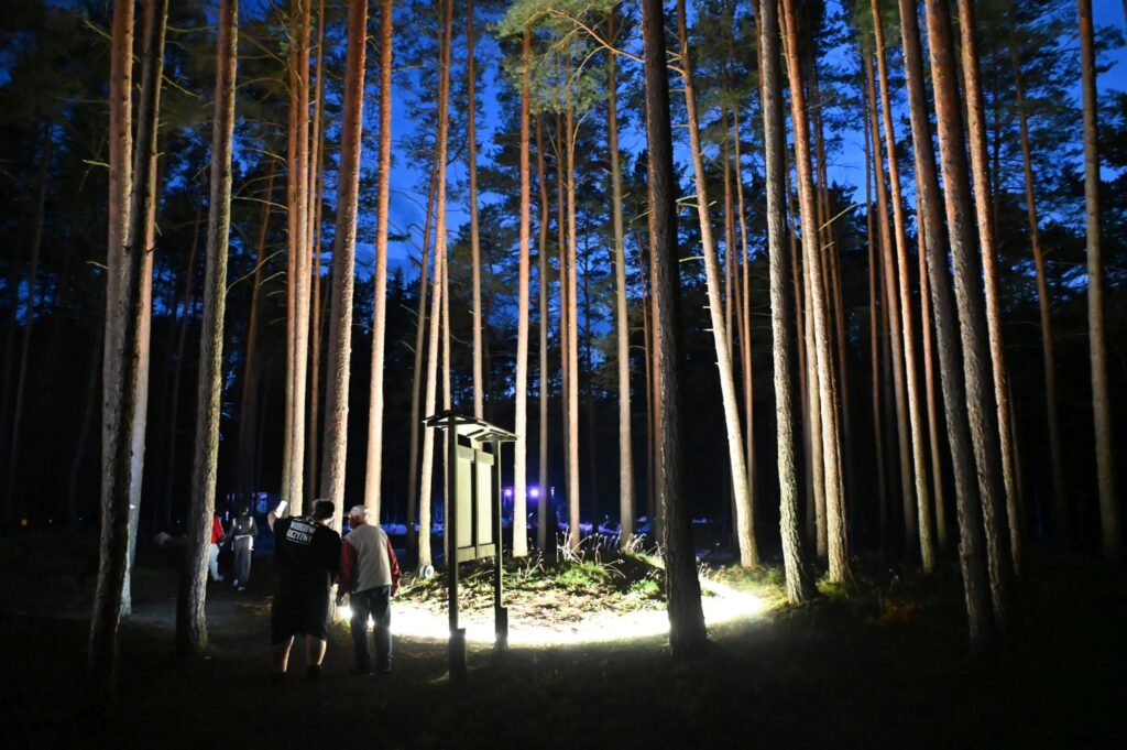 Mniejszy krąg oświetlony lampami prowadzi między wysokimi sosnami, a uczestnicy spacerują w jej kierunku (kliknięcie powiększy zdjęcie).
