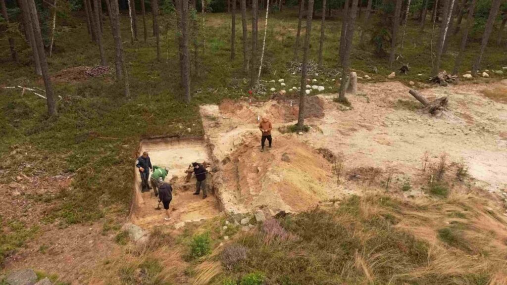 Ujęcie z góry na wykopy archeologiczne w lesie, kilka osób prowadzi prace badawcze (kliknięcie powiększy zdjęcie).