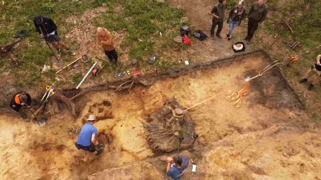 Widok z góry na wykop, archeolodzy pracują przy odsłanianiu znalezisk i dokumentacji terenu (kliknięcie powiększy zdjęcie).