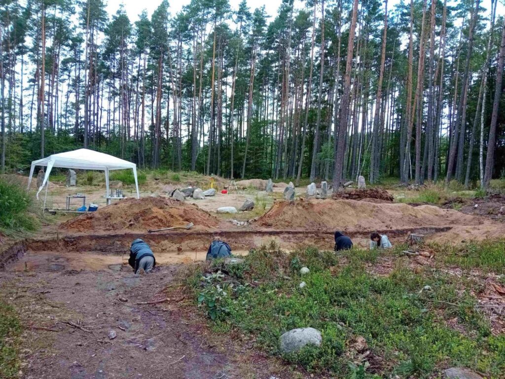 Rozległy teren wykopalisk w lesie z widocznymi wykopami i pracującymi archeologami (kliknięcie powiększy zdjęcie).
