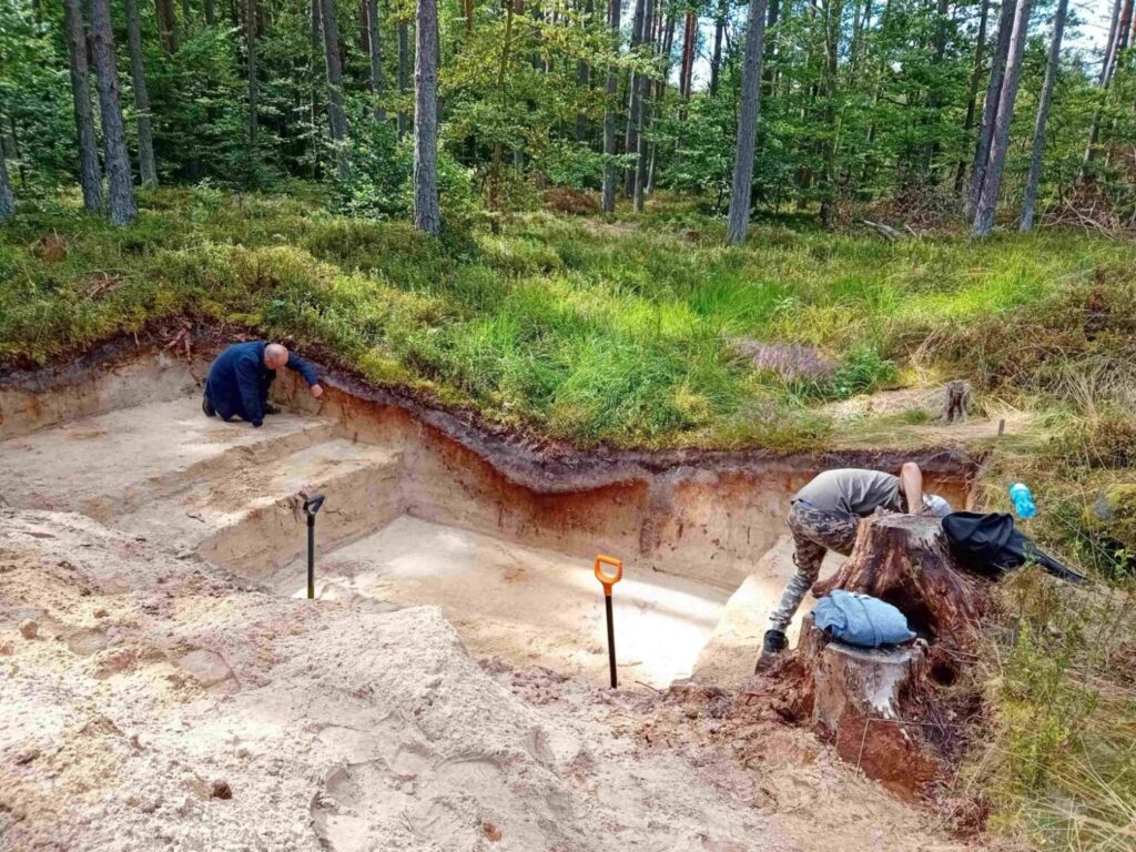 Osoby pracują w wykopie archeologicznym, dokumentując i odsłaniając kolejne warstwy ziemi (kliknięcie powiększy zdjęcie).