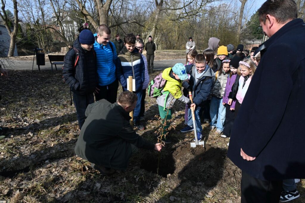 Uczestnicy wydarzenia obserwują proces sadzenia drzewa przez dwóch chłopców trzymających szpadel (kliknięcie powiększy zdjęcie).