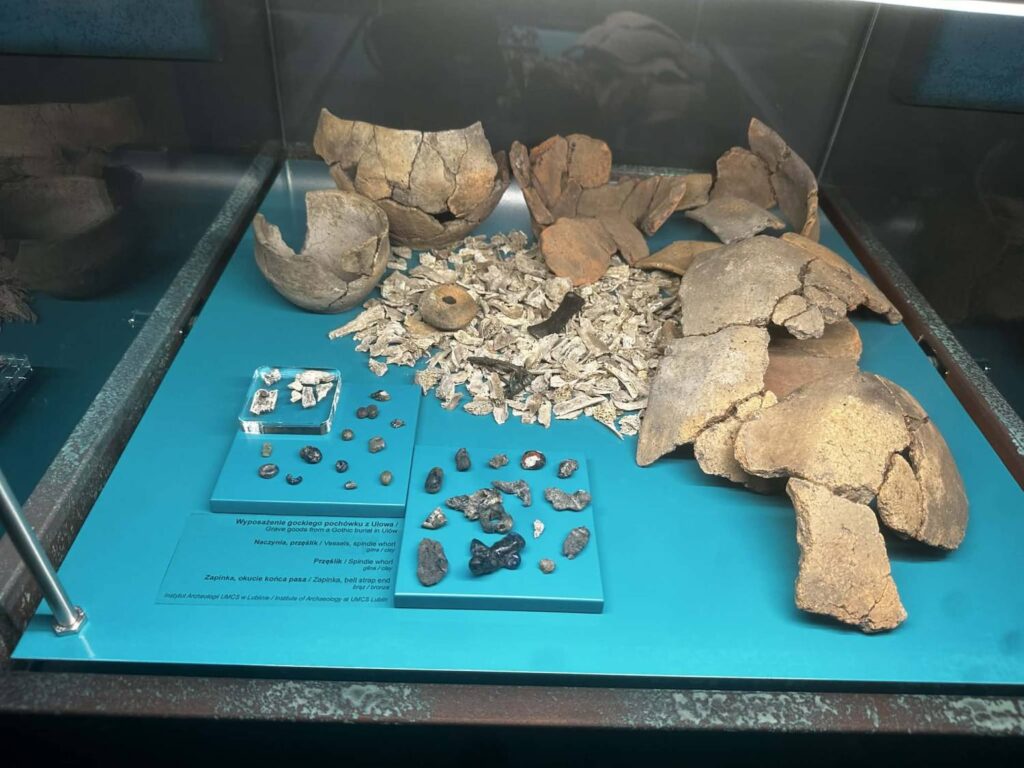 Fragmenty naczyń ceramicznych oraz drobne znaleziska archeologiczne wyeksponowane w gablocie na niebieskim tle (kliknięcie powiększy zdjęcie).