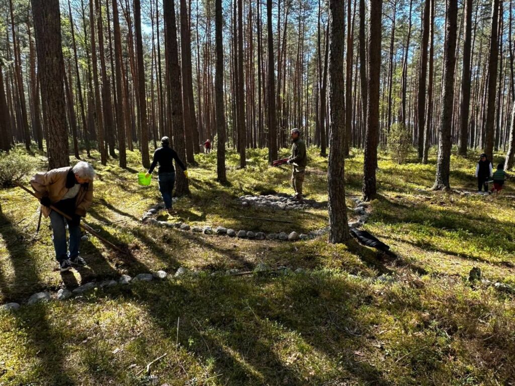 Uczestnicy akcji usuwają liście i gałęzie z terenu stanowiska archeologicznego wśród kamiennych kręgów (kliknięcie powiększy zdjęcie).