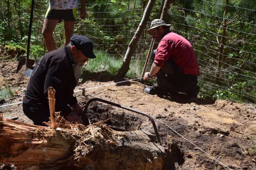 Archeolodzy prowadzą prace wykopaliskowe przy odsłanianiu pozostałości drewnianej konstrukcji w wykopie (kliknięcie powiększy zdjęcie.