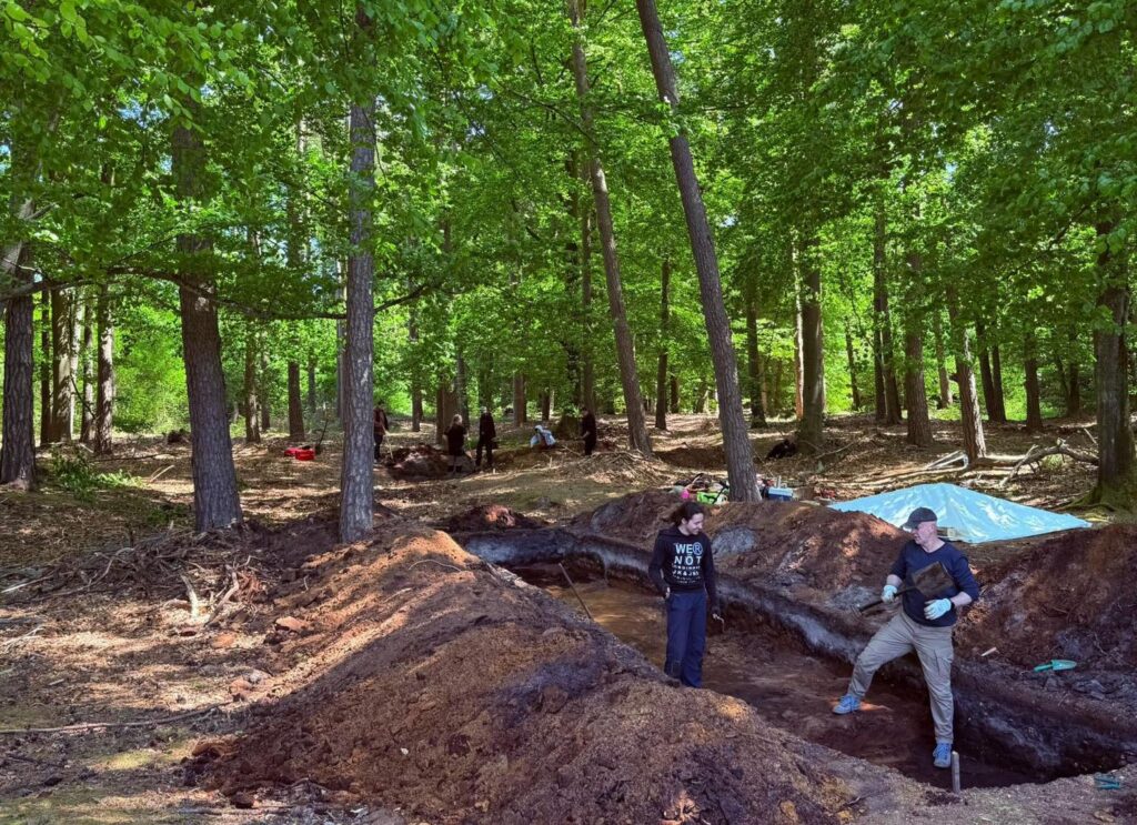 Rozległy wykop archeologiczny w lesie, w którym archeolodzy prowadzą badania terenowe (kliknięcie powiększy zdjęcie).
