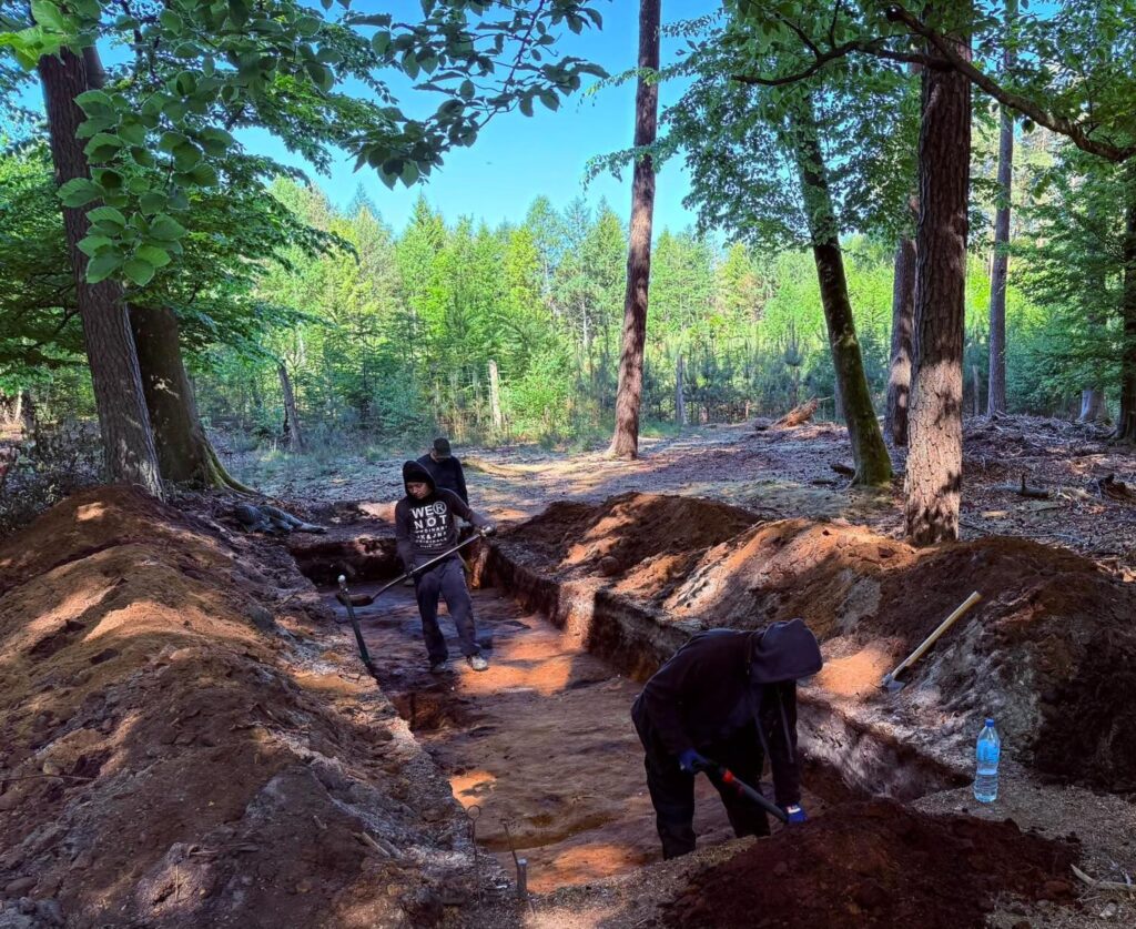 Archeolodzy prowadzą prace wykopaliskowe w długim wykopie zlokalizowanym na leśnym stanowisku archeologicznym (kliknięcie powiększy zdjęcie).